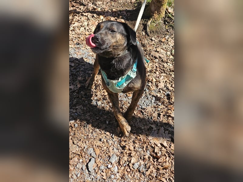 Butch sucht ein neues Zuhause