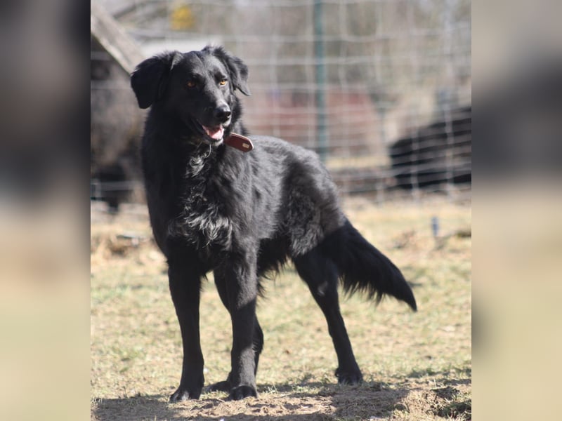 Colonia sucht ihre Menschen