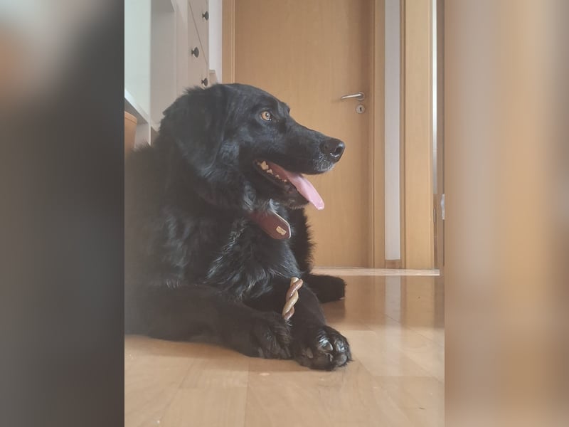 Colonia sucht ihre Menschen