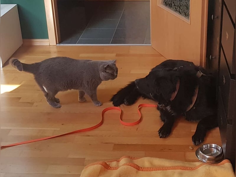 Colonia sucht ihre Menschen