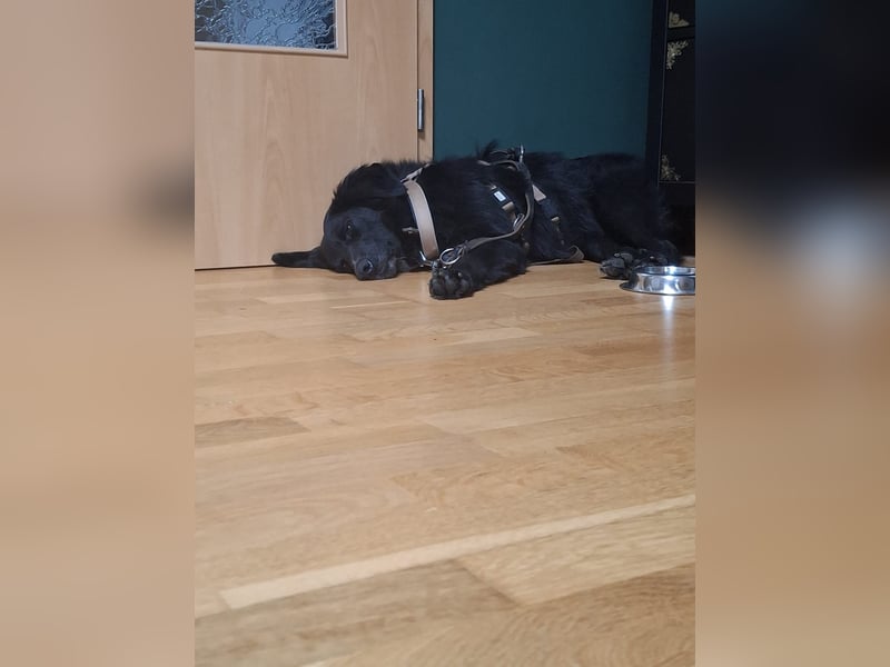 Colonia sucht ihre Menschen