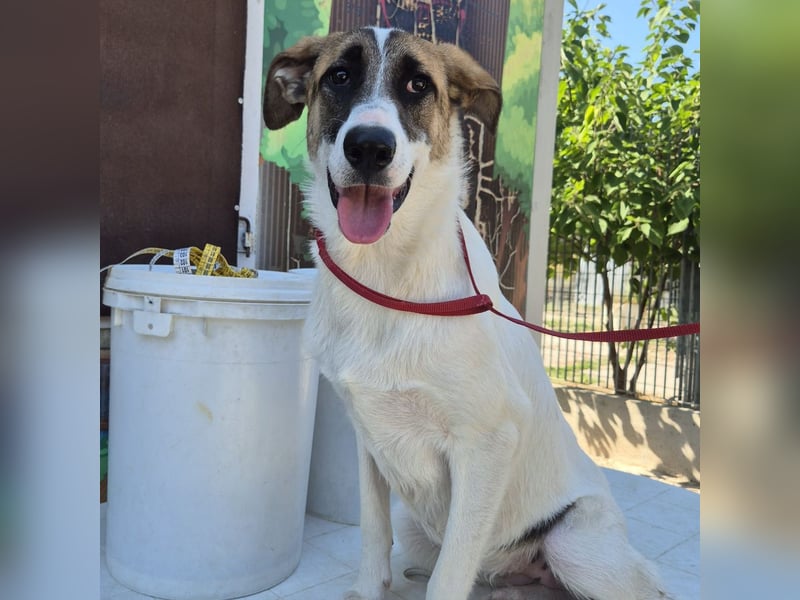 Mela - ein junges, liebes und sanftes Mädchen