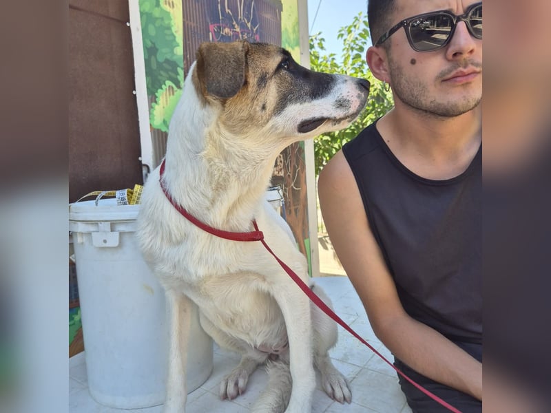 Mela - ein junges, liebes und sanftes Mädchen