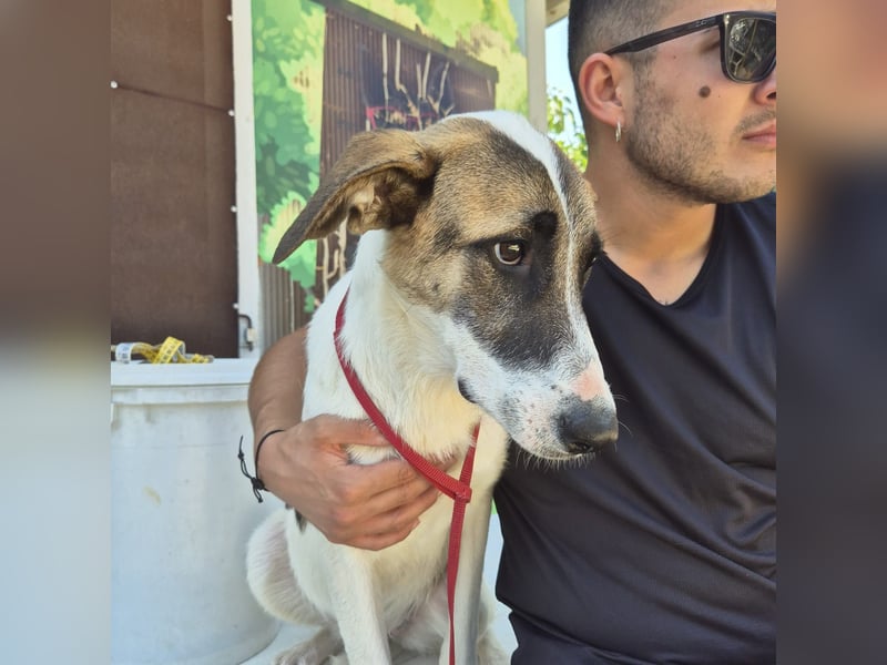 Mela - ein junges, liebes und sanftes Mädchen