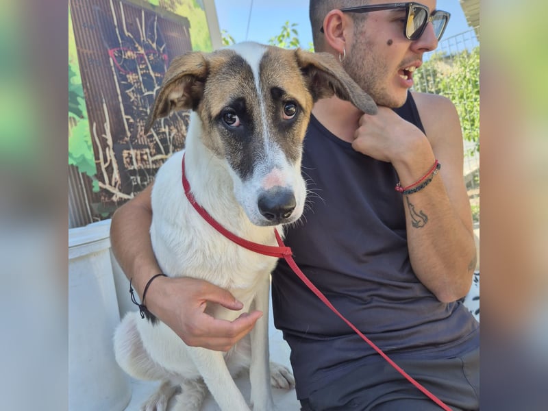 Mela - ein junges, liebes und sanftes Mädchen