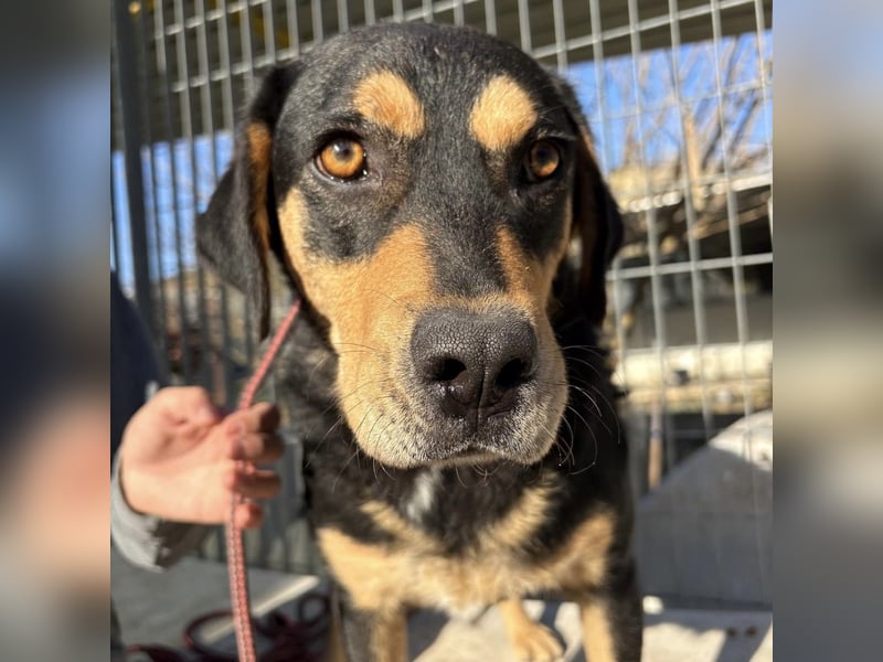 Tepp - junger, fröhlicher Bub