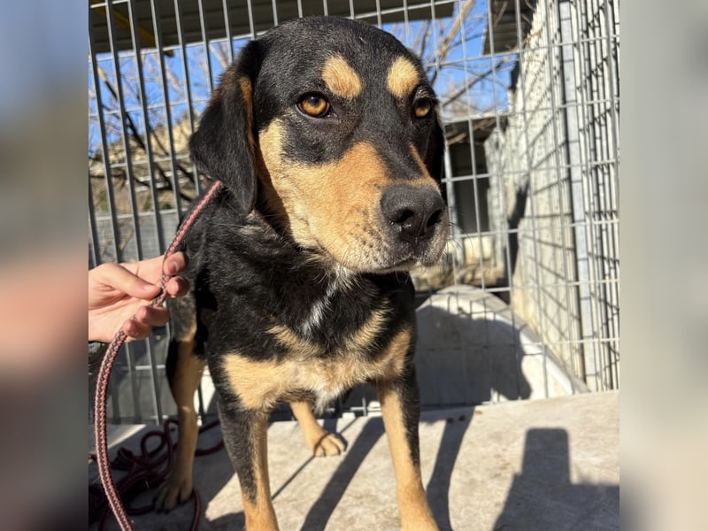 Tepp - junger, fröhlicher Bub