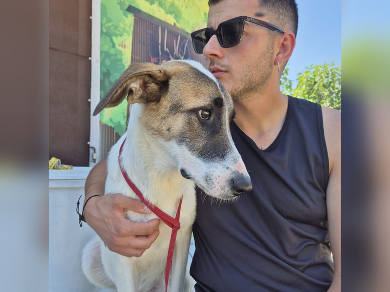 Mela - ein junges, liebes und sanftes Mädchen