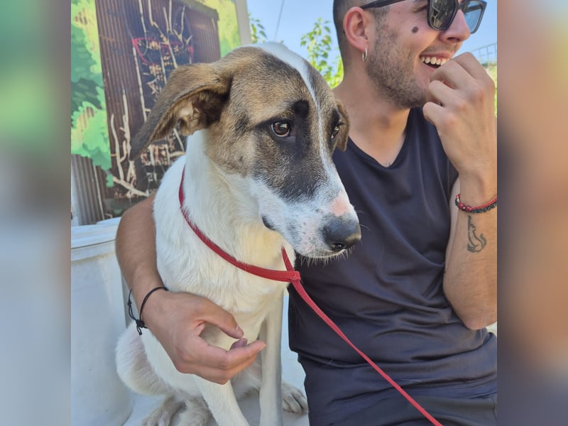 Mela - ein junges, liebes und sanftes Mädchen