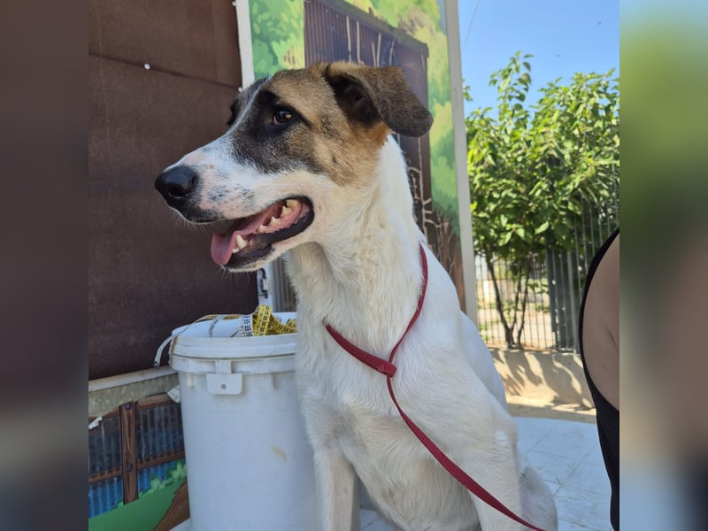 Mela - ein junges, liebes und sanftes Mädchen