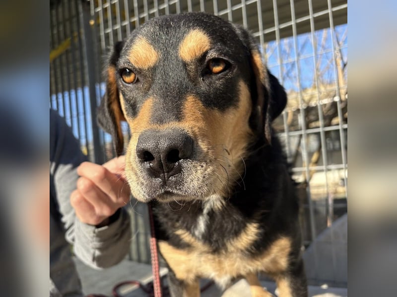 Tepp - junger, fröhlicher Bub