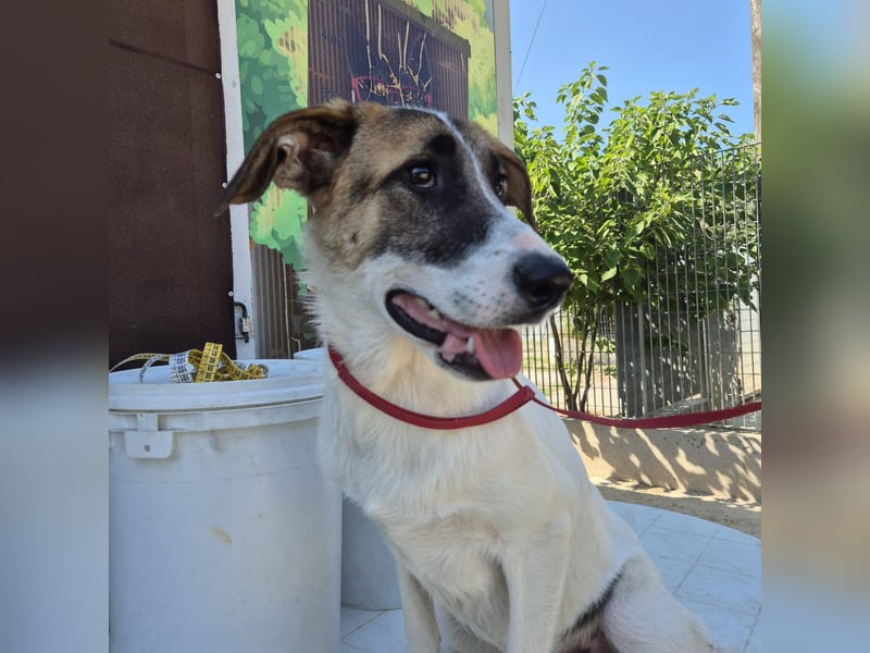 Mela - ein junges, liebes und sanftes Mädchen