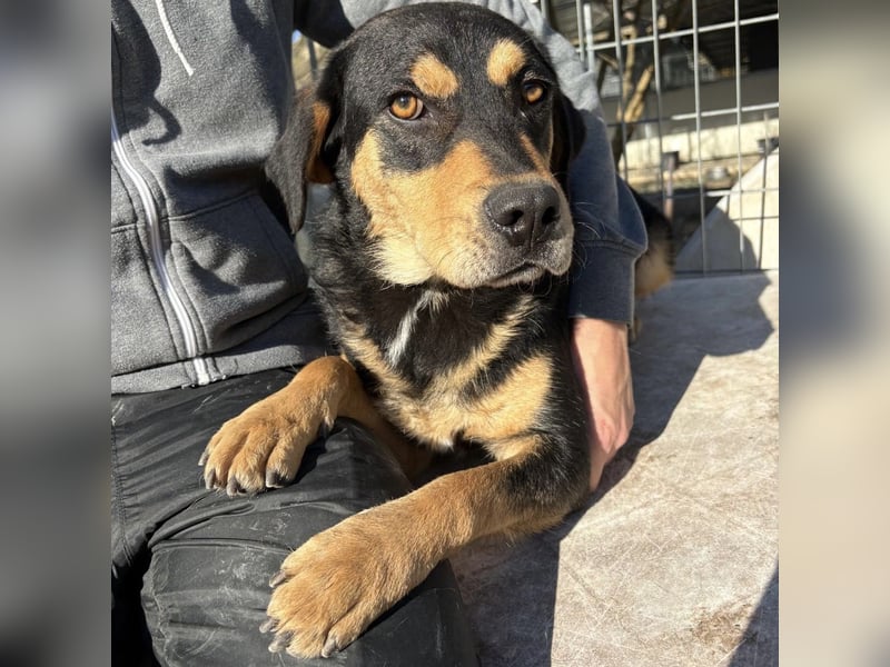 Tepp - junger, fröhlicher Bub