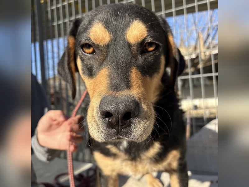 Tepp - junger, fröhlicher Bub