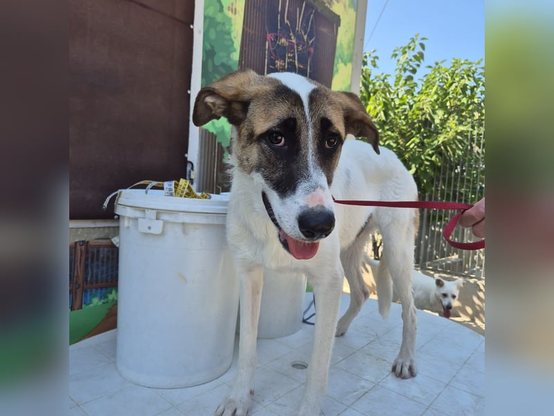 Mela - ein junges, liebes und sanftes Mädchen