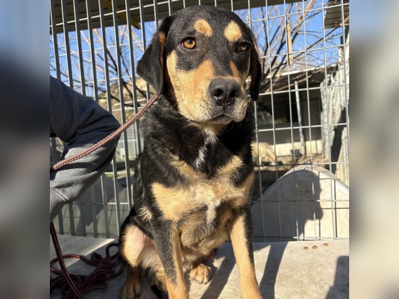 Tepp - junger, fröhlicher Bub