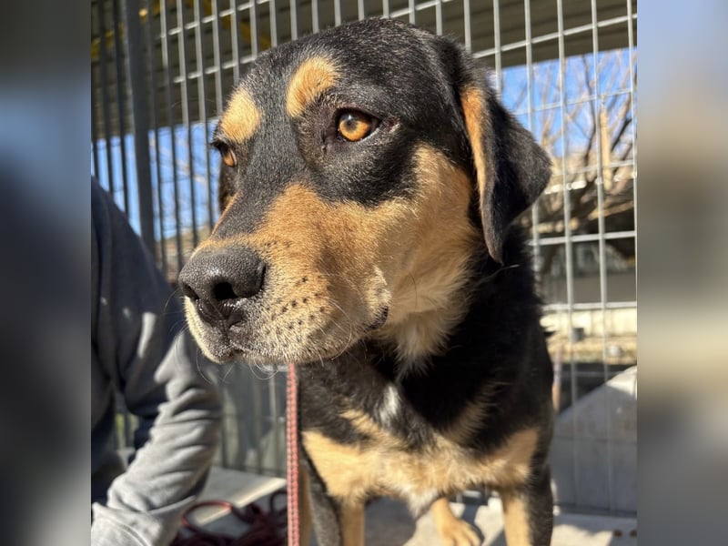 Tepp - junger, fröhlicher Bub