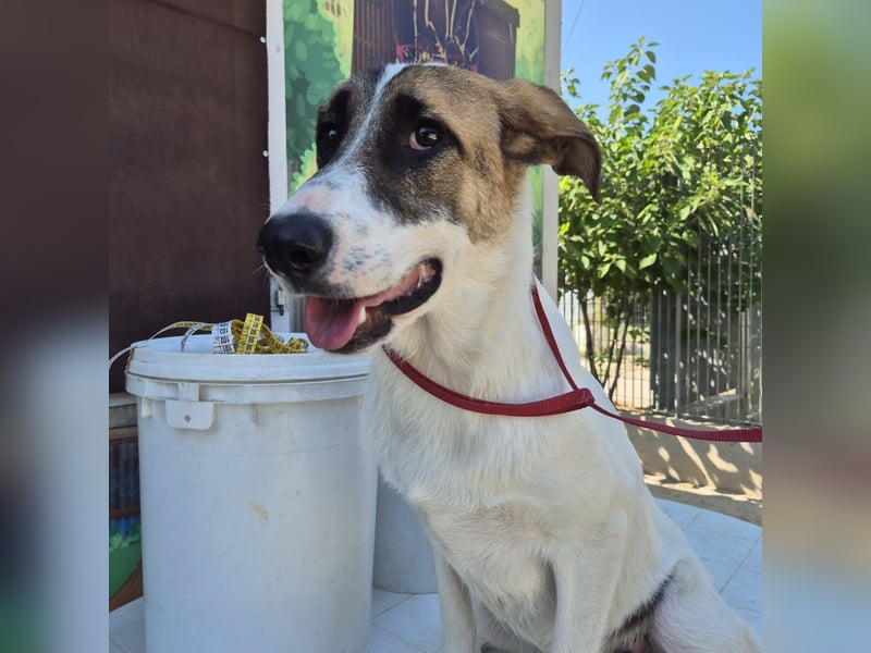 Mela - ein junges, liebes und sanftes Mädchen