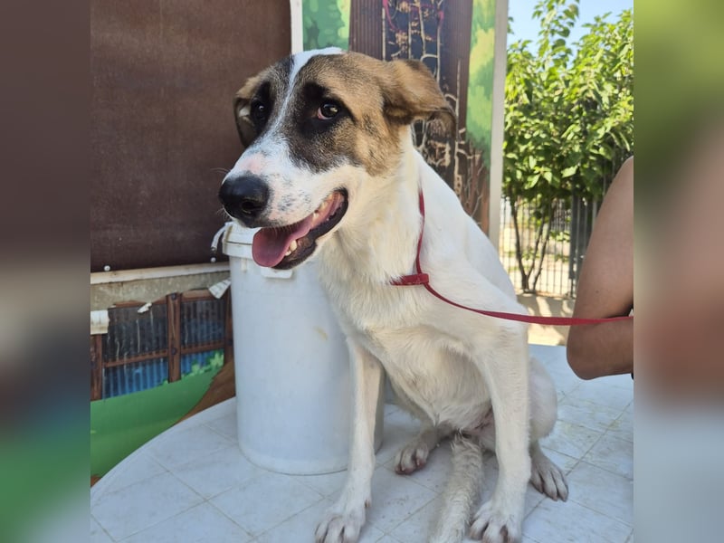 Mela - ein junges, liebes und sanftes Mädchen