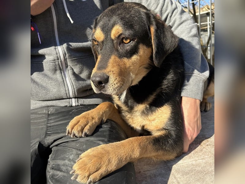 Tepp - junger, fröhlicher Bub