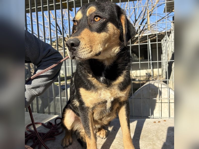 Tepp - junger, fröhlicher Bub