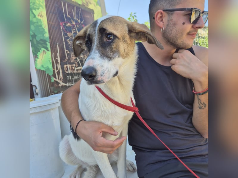 Mela - ein junges, liebes und sanftes Mädchen