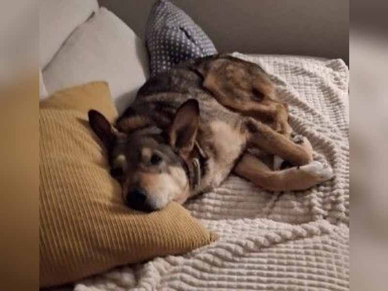 AIKA - liebenswerte Seniorin sucht ihr eigenes Zuhause
