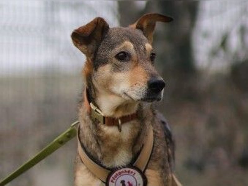 AIKA - liebenswerte Seniorin sucht ihr eigenes Zuhause