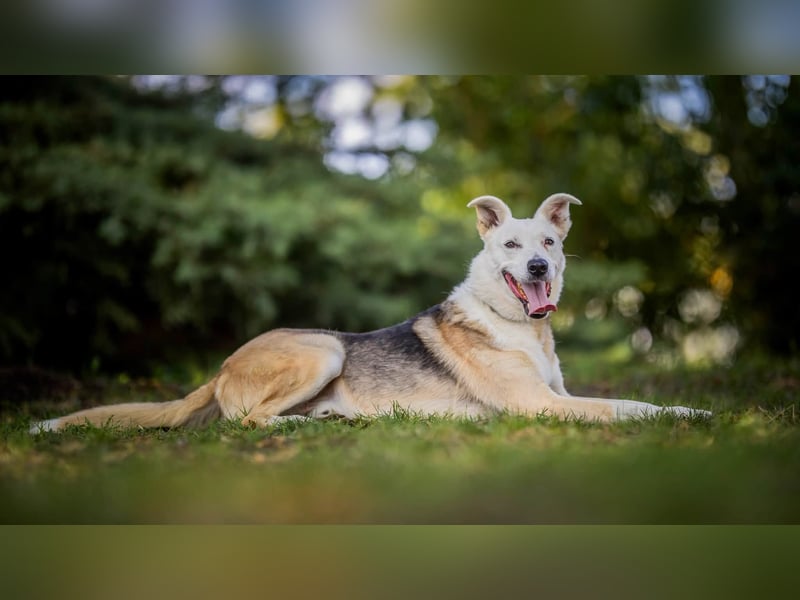 Paco - 6 Jahre Warten