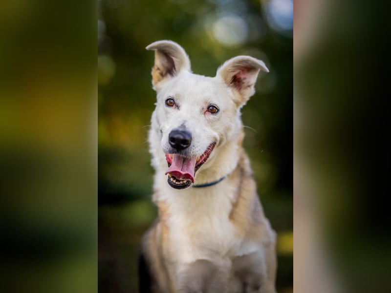 Paco - 6 Jahre Warten