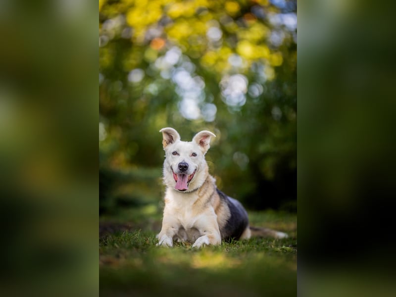 Paco - 6 Jahre Warten