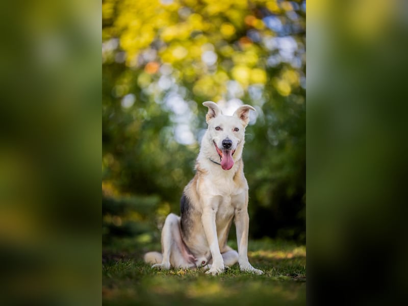 Paco - 6 Jahre Warten
