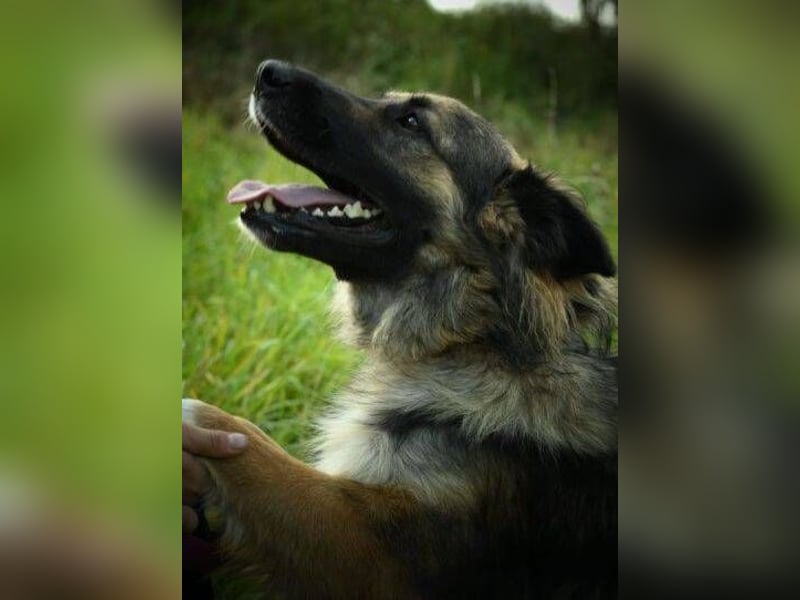 BABORKA hätte so gerne eine eigene Familie