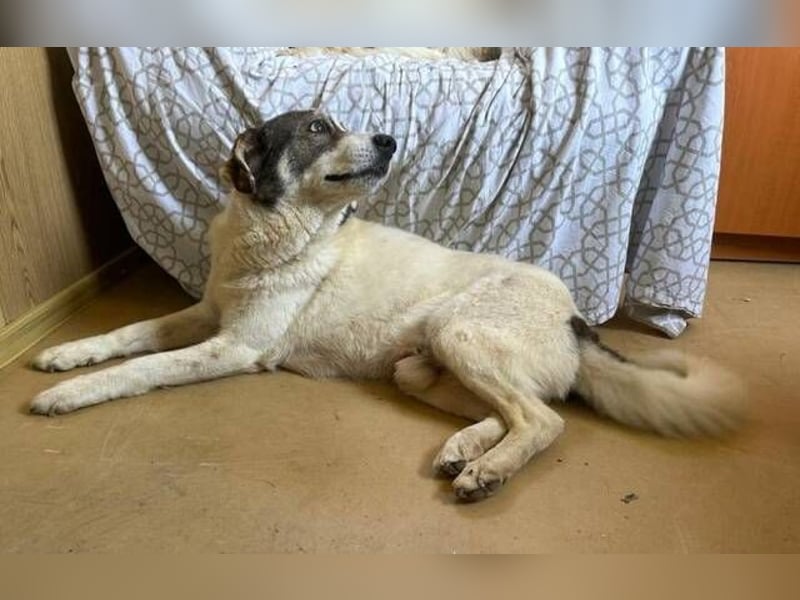 PUFI versteht sich mit allen