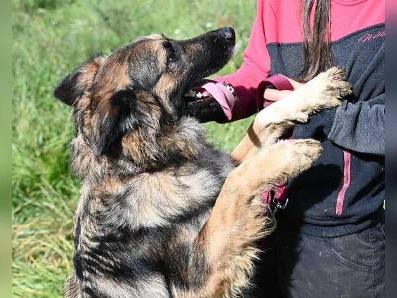 BABORKA hätte so gerne eine eigene Familie