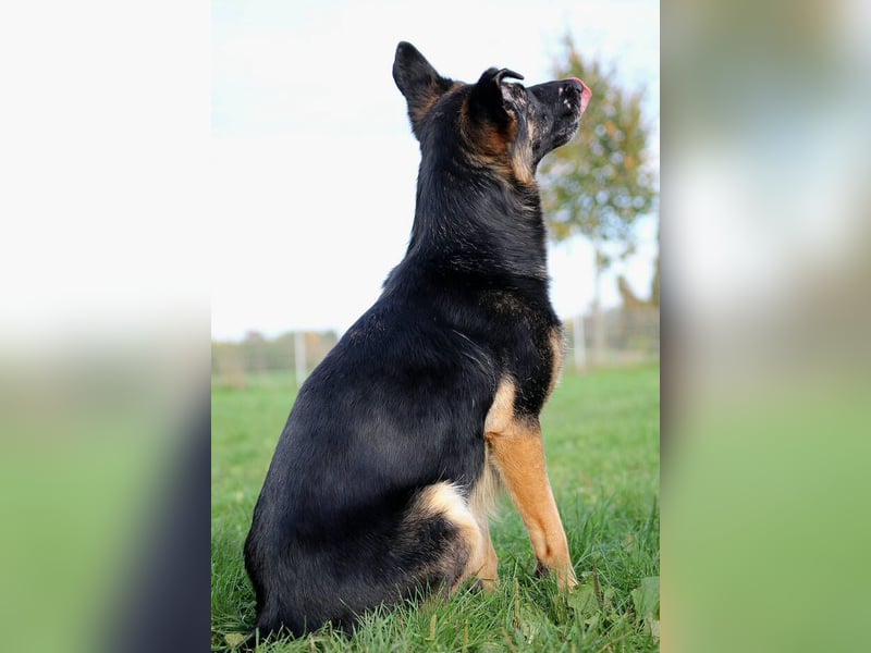 Donna, schön und sehr lieb