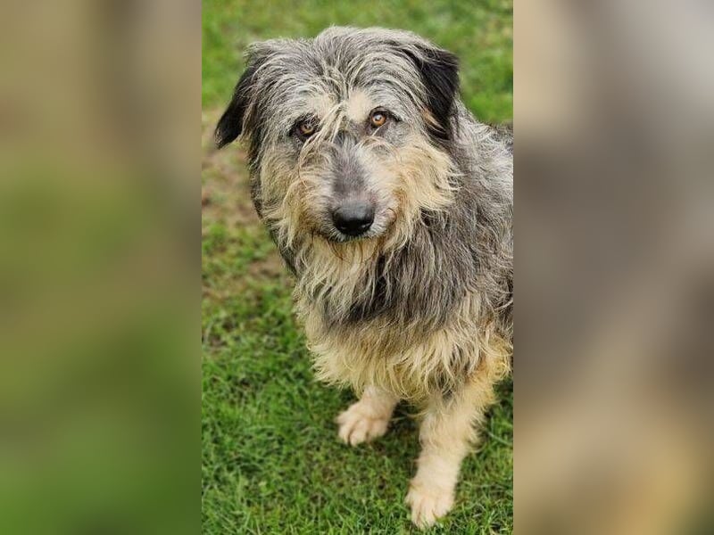 MAYA ist einfach zauberhaft