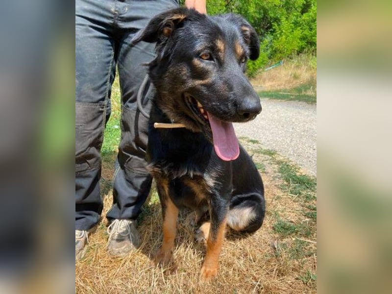 LUNA 2 wäre so gerne Familienmitglied