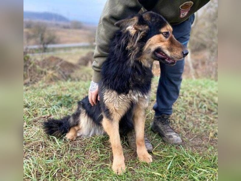 ELZA sucht ihre Familie