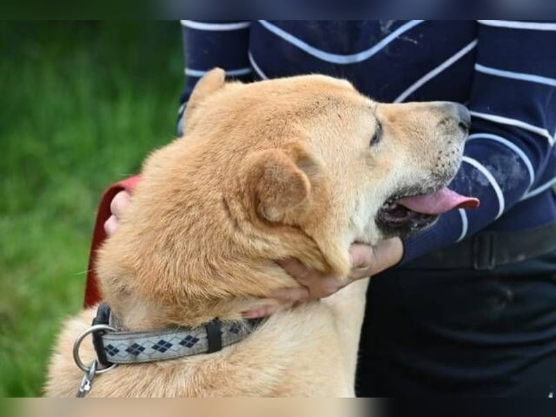 AKIM wartet auf Dich