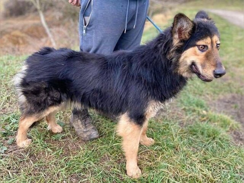 ELZA sucht ihre Familie