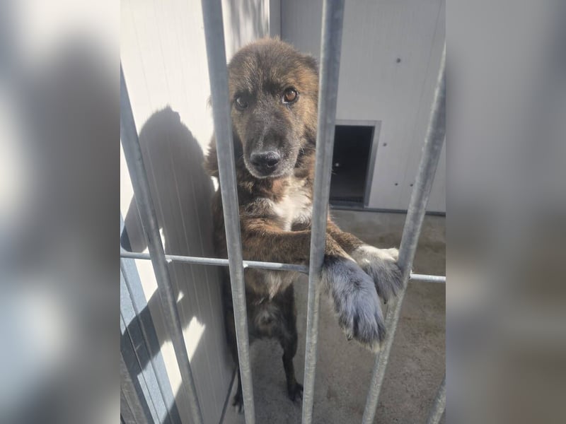 LOBITO muss jeden Tag um sein Leben zittern