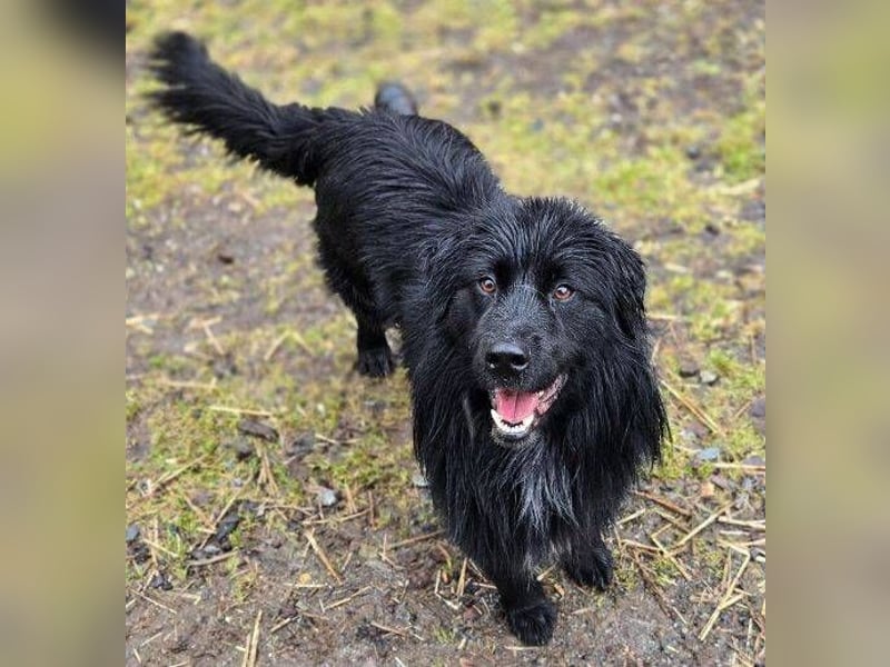 FABIO wäre gerne dein Freund