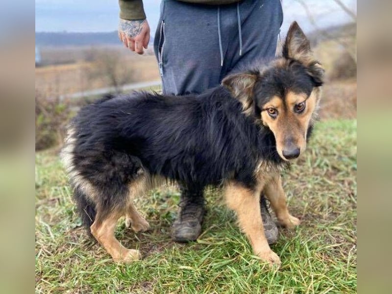 ELZA sucht ihre Familie