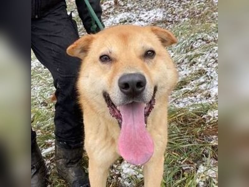 AKIM wartet auf Dich AKIM wartet auf Dich