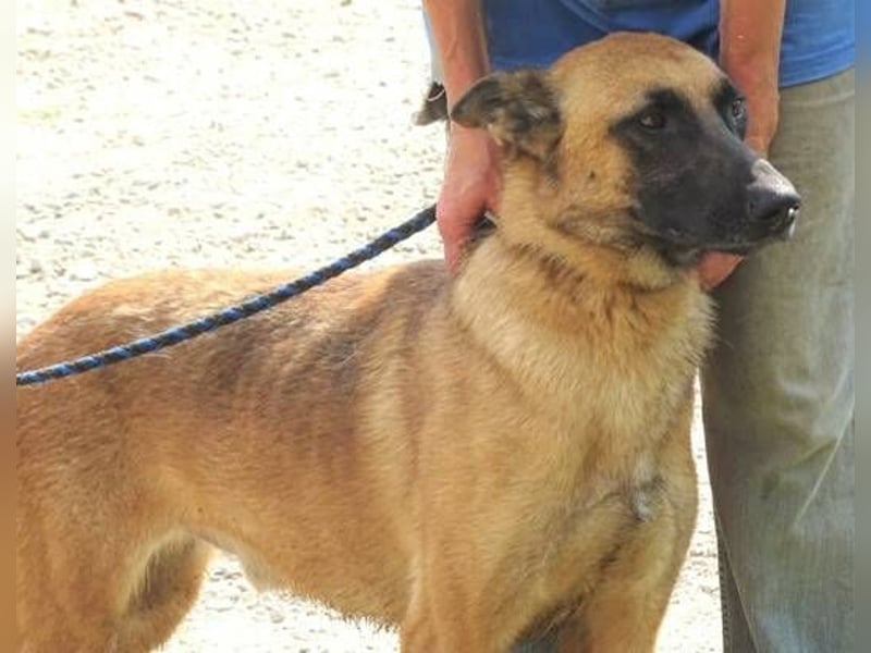 IKE ist ein unkomplizierter Strahlemann