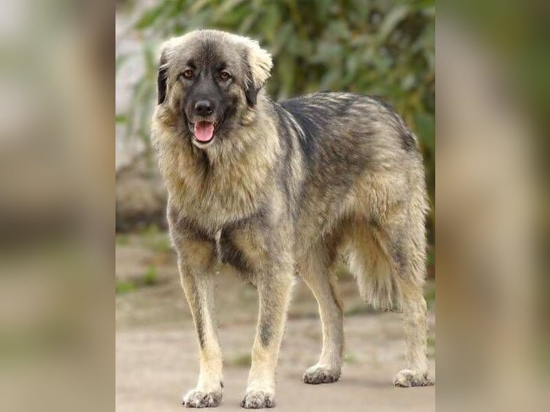 EMMA ist wunderschön