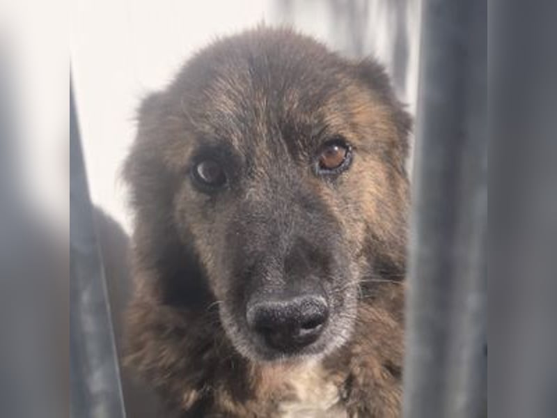 LOBITO muss jeden Tag um sein Leben zittern