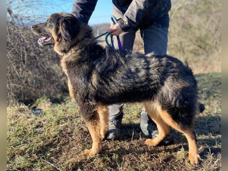 SKY 2 wurde lieblos behandelt