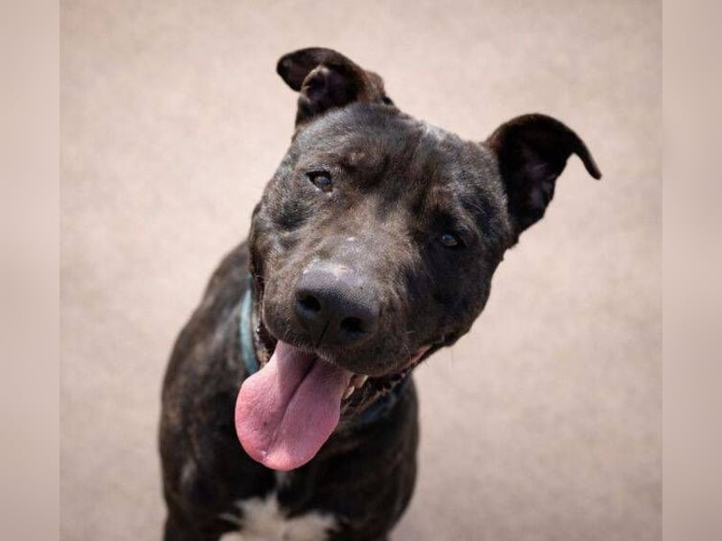 SUNNY sucht seine Menschen